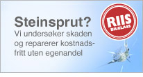 Steinsprut banner
